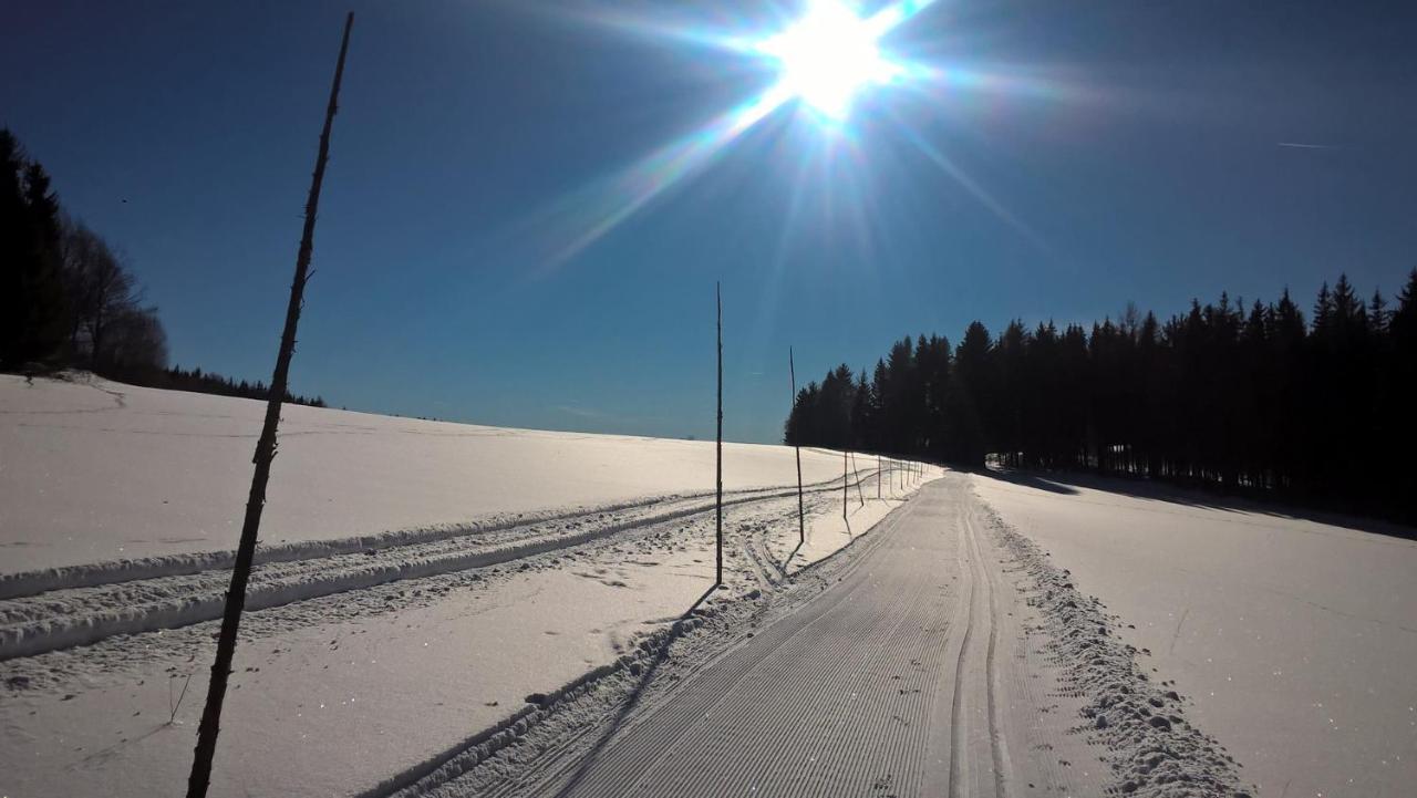 Apartman Nad Terasou Říčky Bagian luar foto