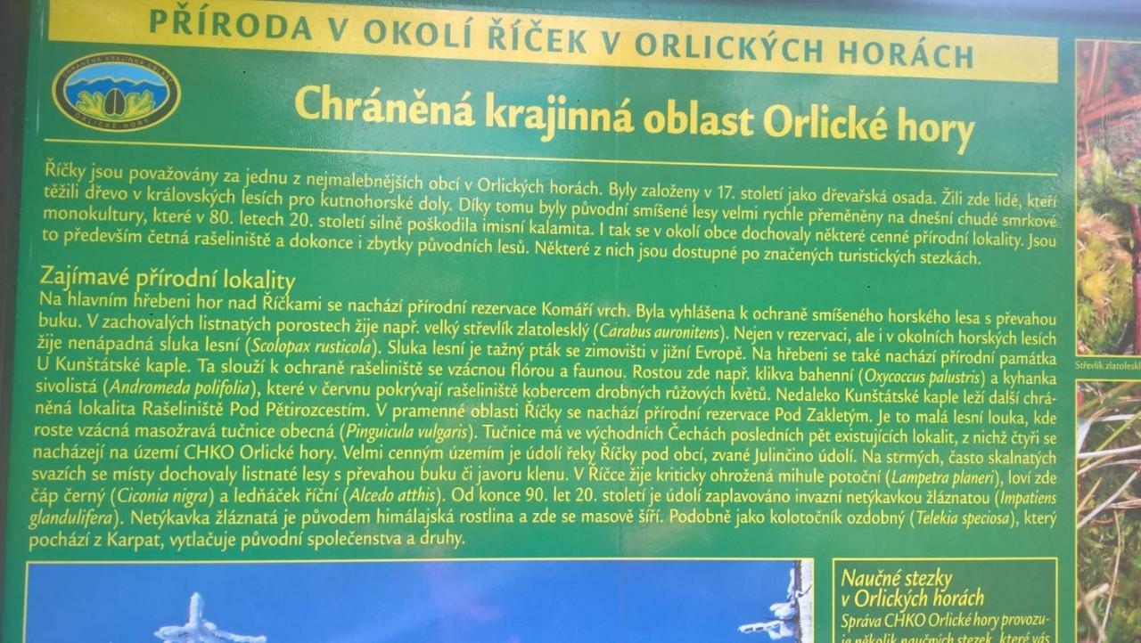 Apartman Nad Terasou Říčky Bagian luar foto
